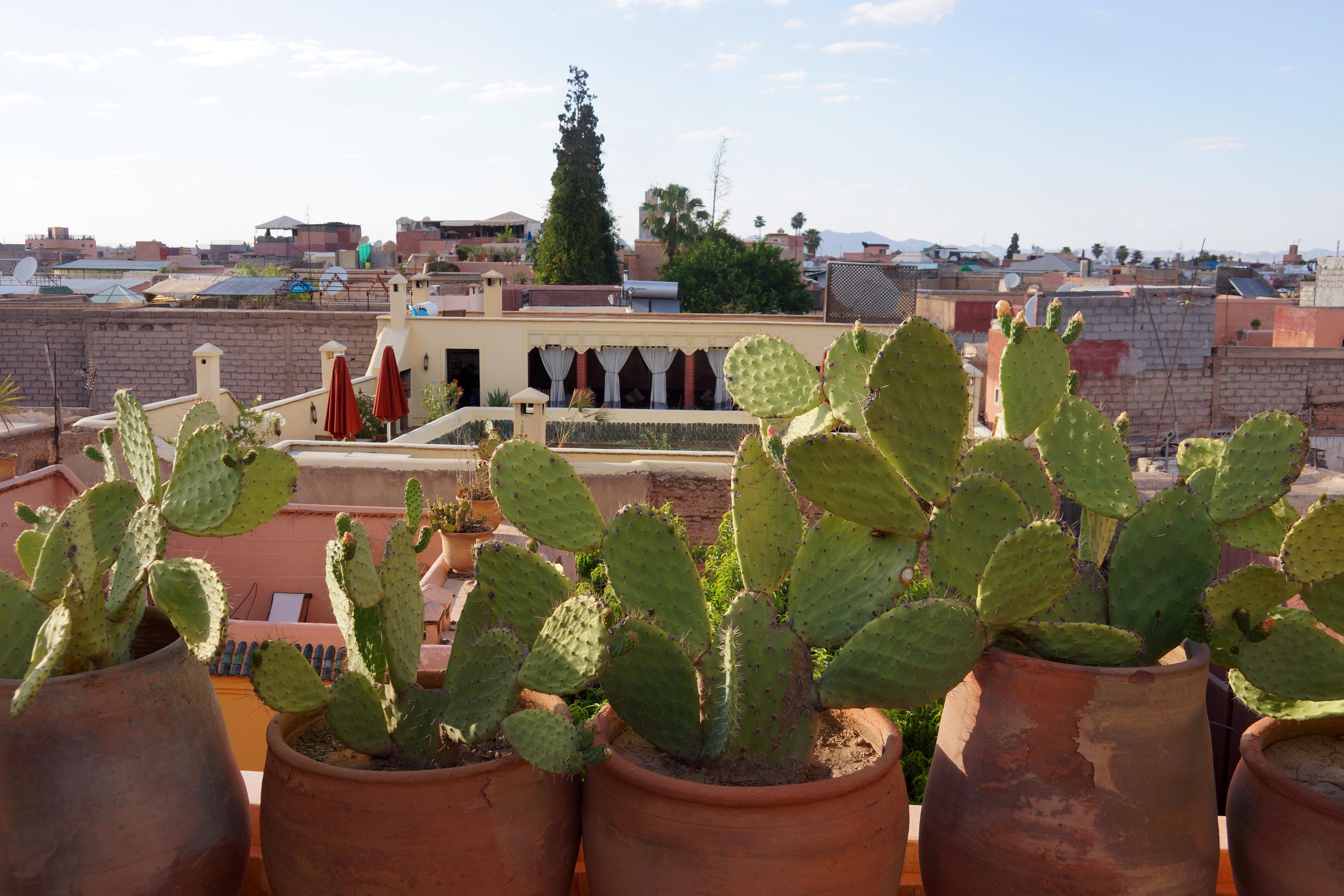 Riad Marrakiss Marrakesh Ngoại thất bức ảnh